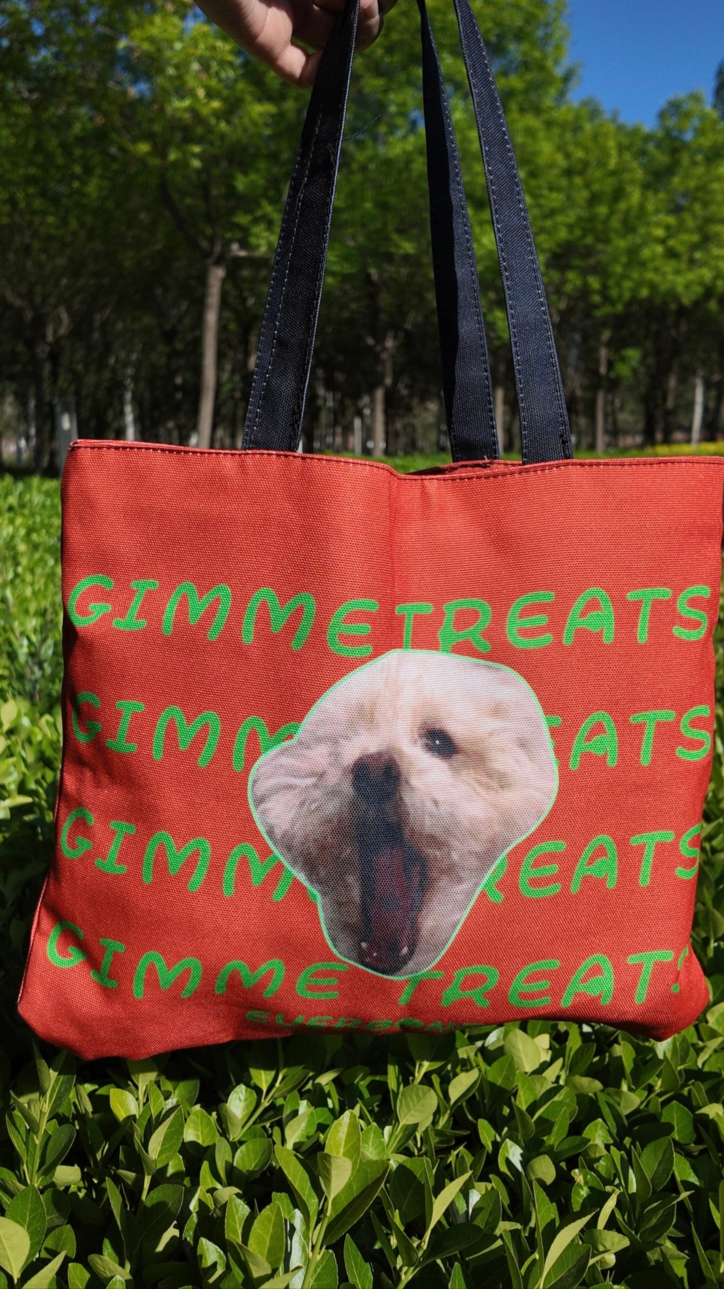 Custom Pet Face Canvas Tote – Waterproof & Fits 13.6" Laptop | Everbond
