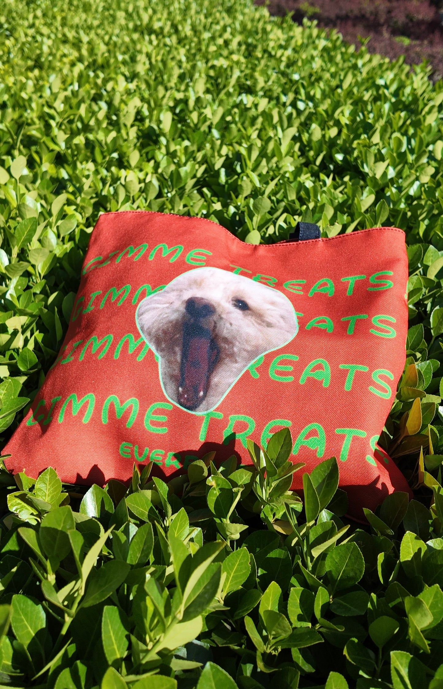 Custom Pet Face Canvas Tote – Waterproof & Fits 13.6" Laptop | Everbond