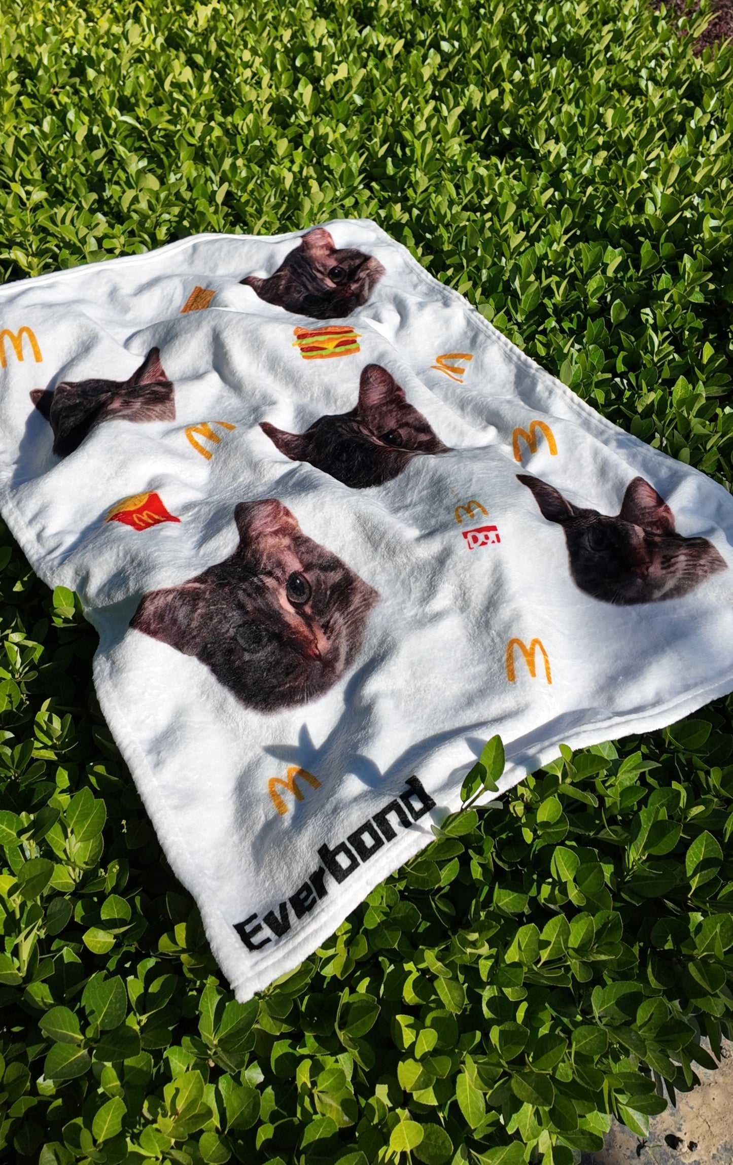 Custom “MeowDolnad” Pet Face Fleece Blanket – Soft & Cozy Personalized Cat or Dog Throw